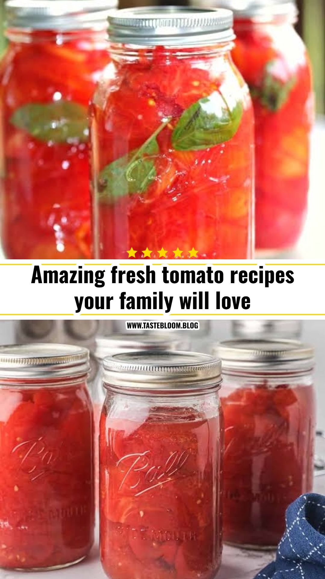 Best fresh tomato recipes for summer harvest