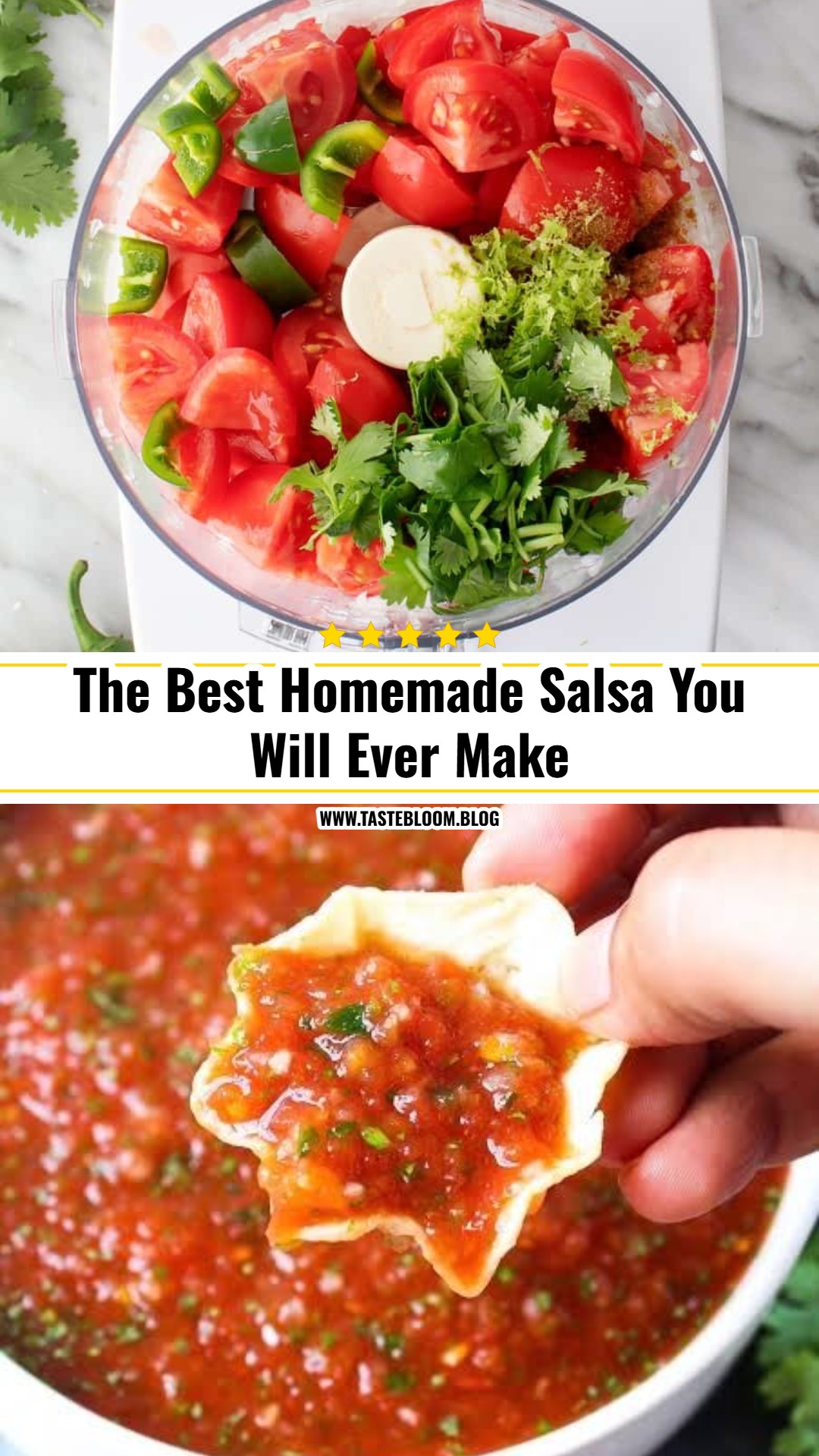 The Best Homemade Salsa You Will Ever Make