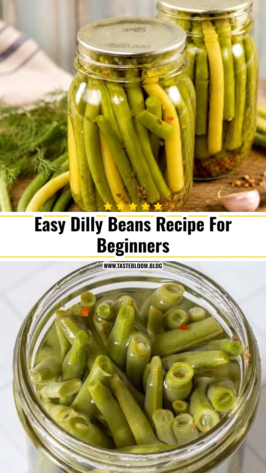 Easy Dilly Beans Recipe For Beginners