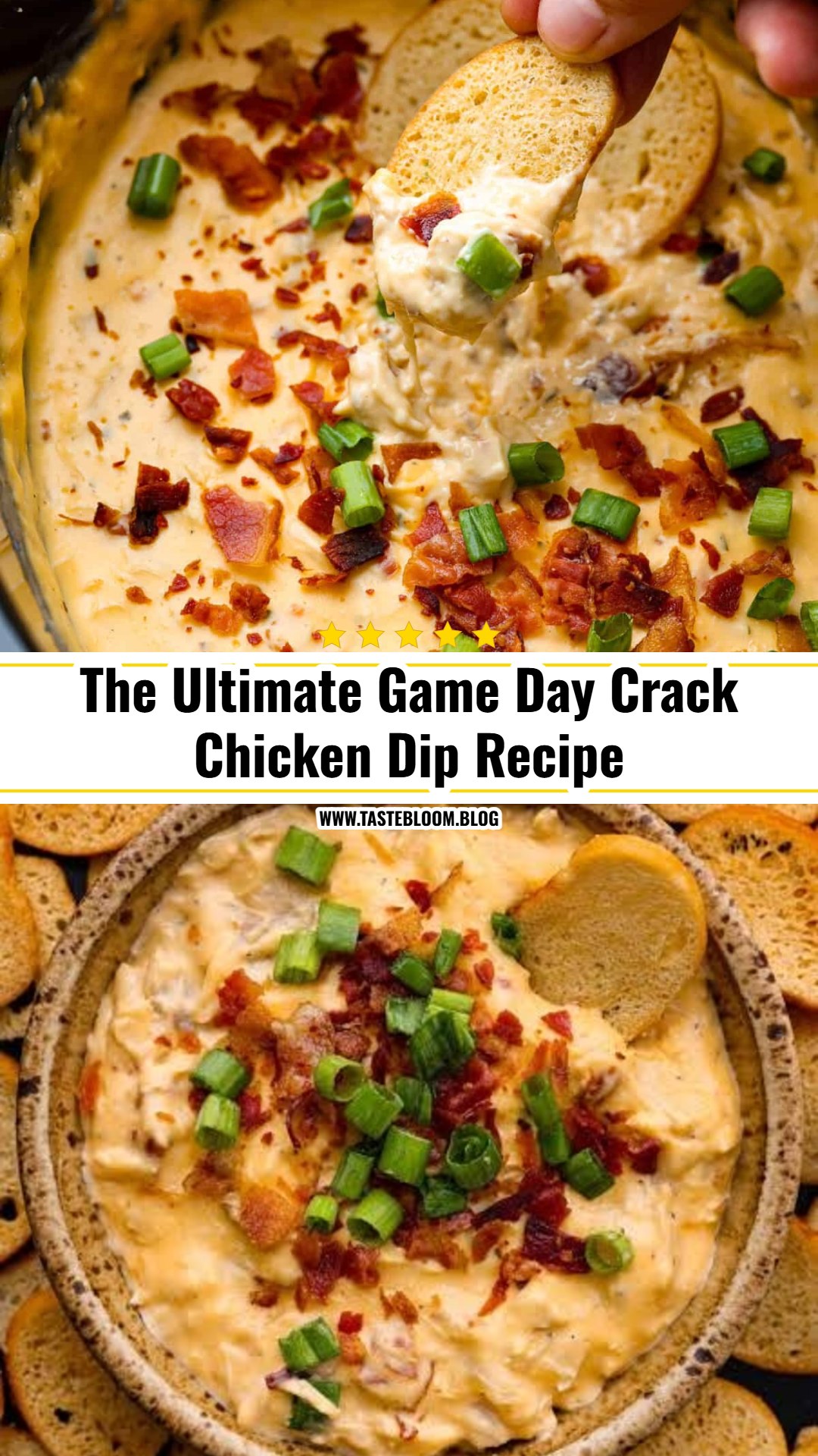 Best Slow Cooker Crack Chicken Dip For Game Day