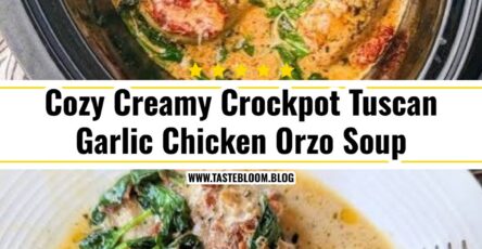 Cozy Creamy Crockpot Tuscan Garlic Chicken Orzo Soup