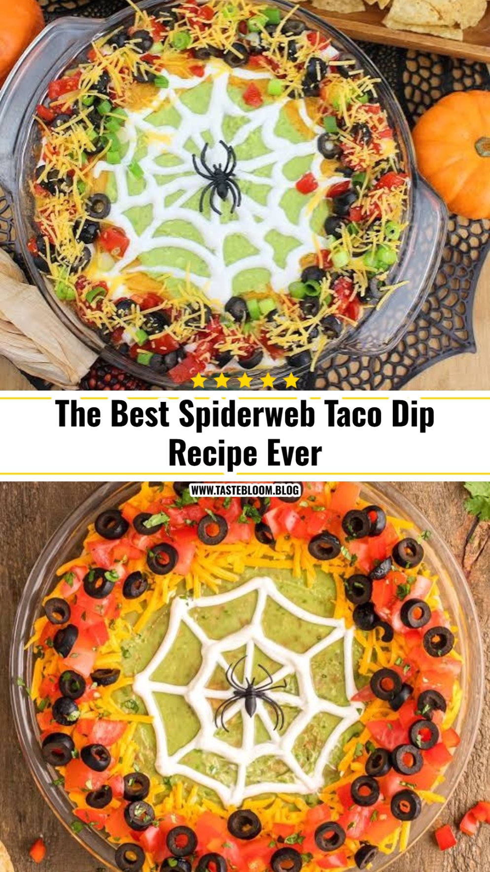 The Best Spiderweb Taco Dip Recipe Ever